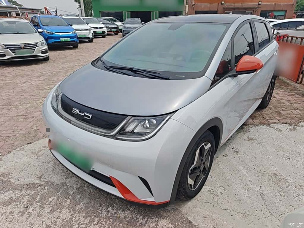 BYD Dolphin, 2022 2