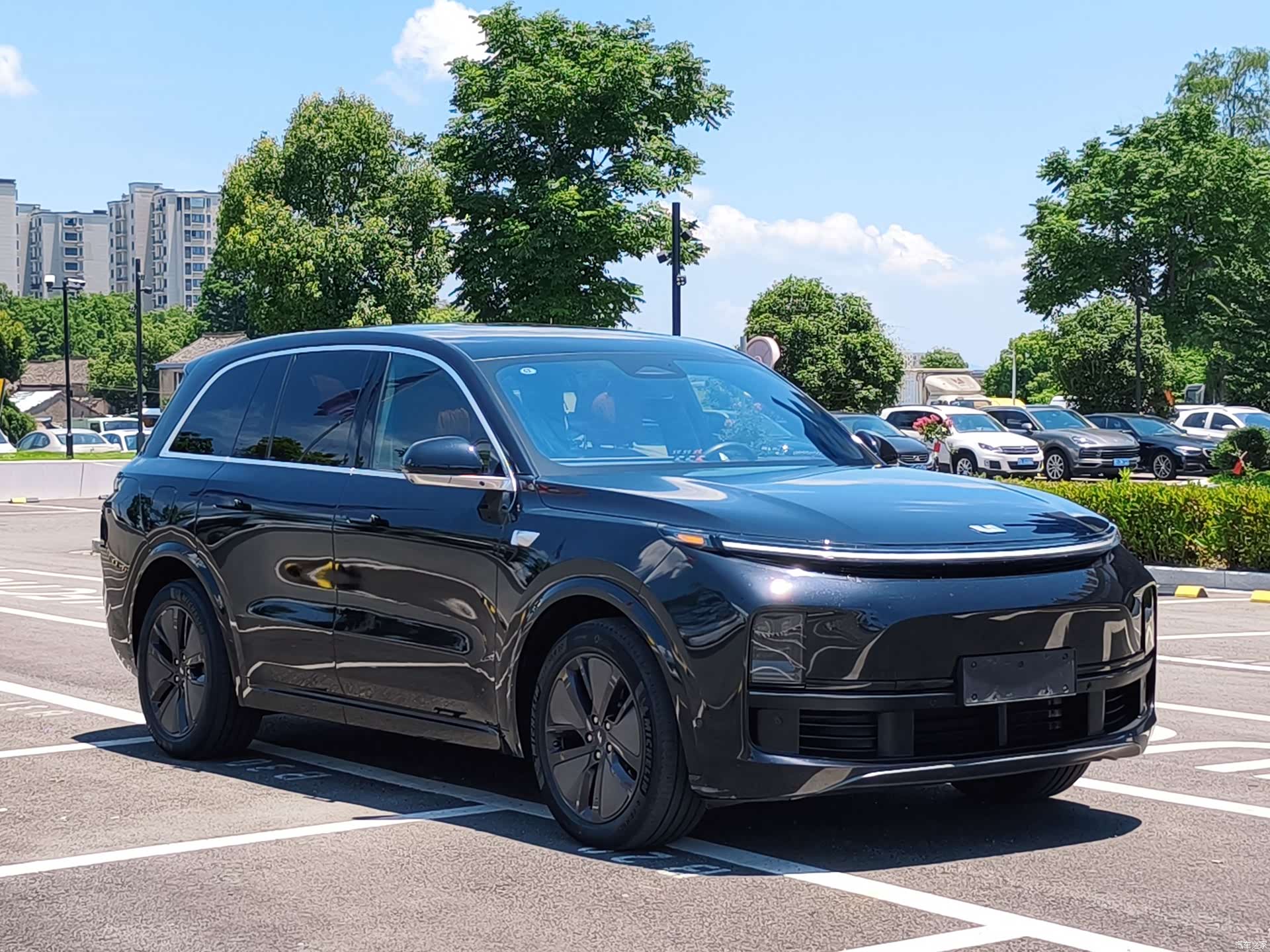 Li Auto L8, 2024 3