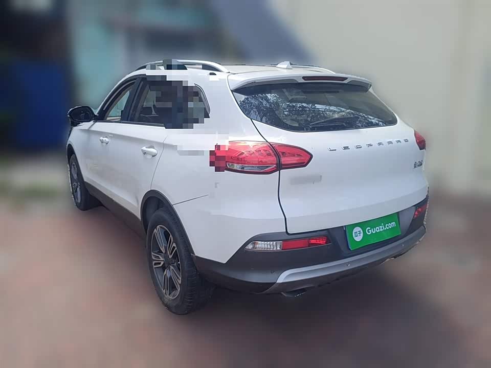 Leopaard Cheetah CS10