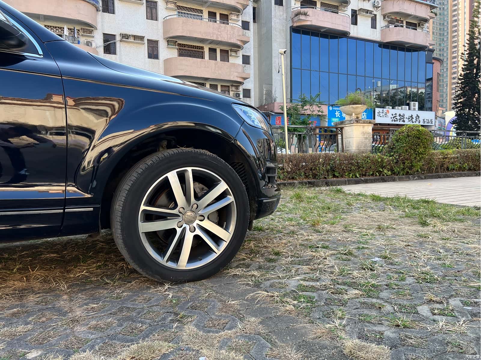 Audi Q7, 2011 8