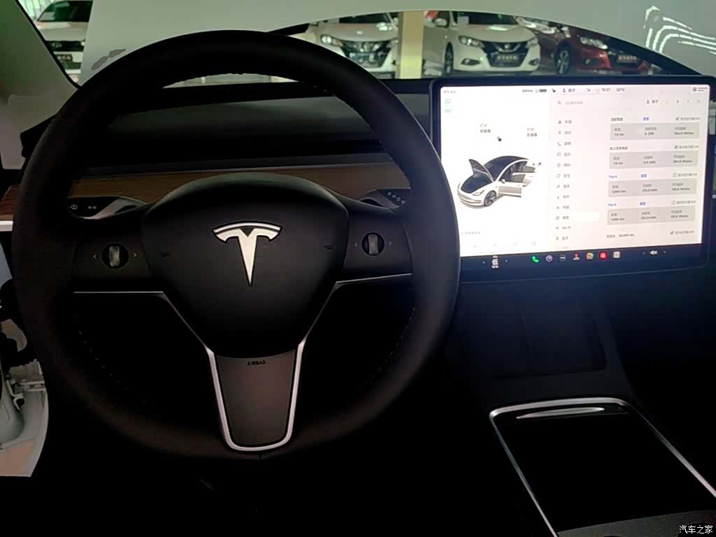 Tesla Model 3, 2021 10