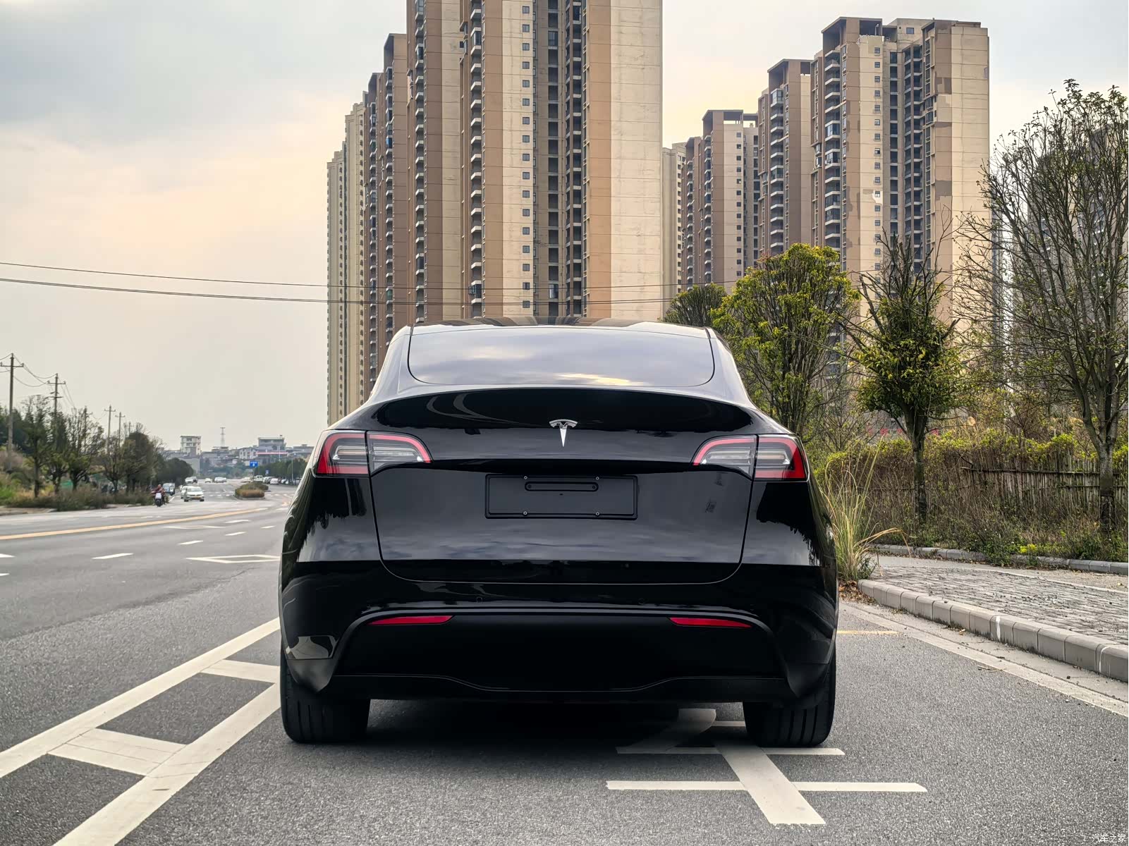 Tesla Model Y, 2023 все фото