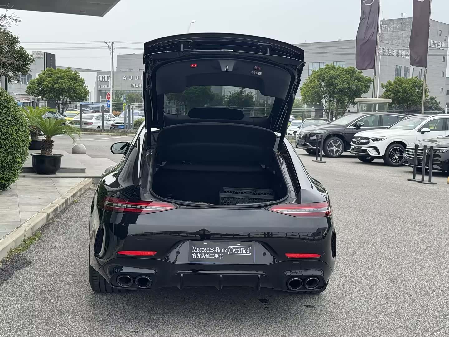MG AMG, 2025 26