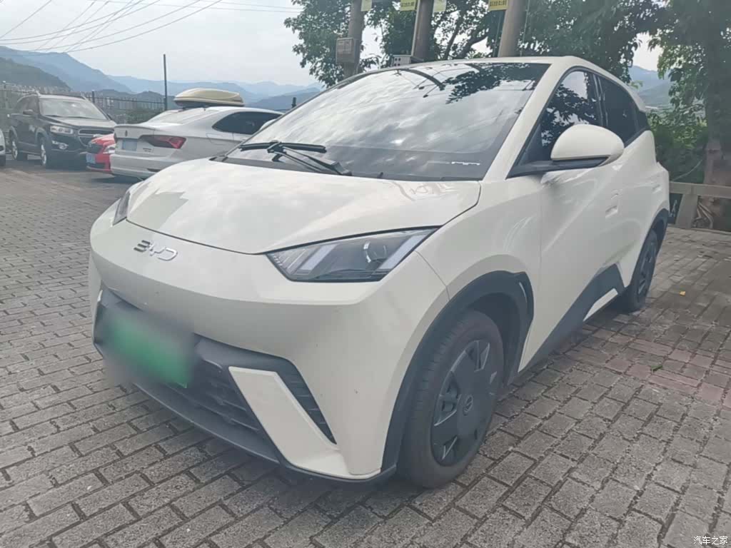 BYD Seagull, 2024 1