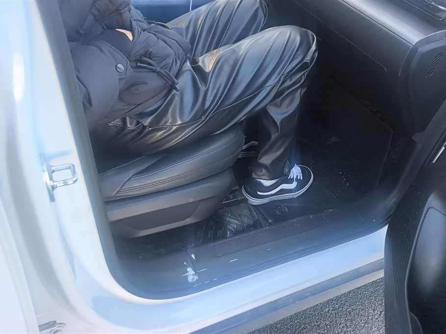 Wuling Wuling Starlight