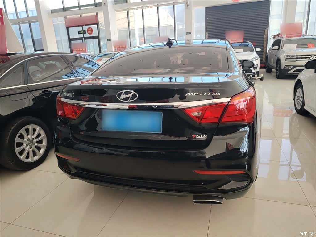 Hyundai GLS, 2017 6