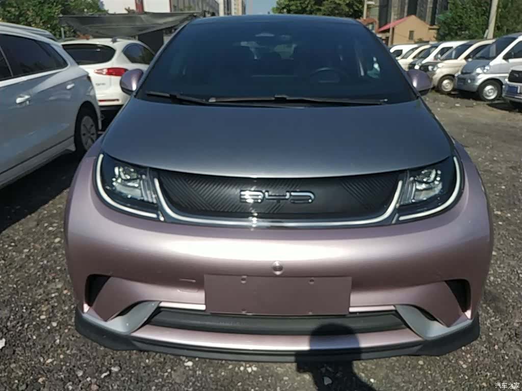 BYD Dolphin, 2022 3
