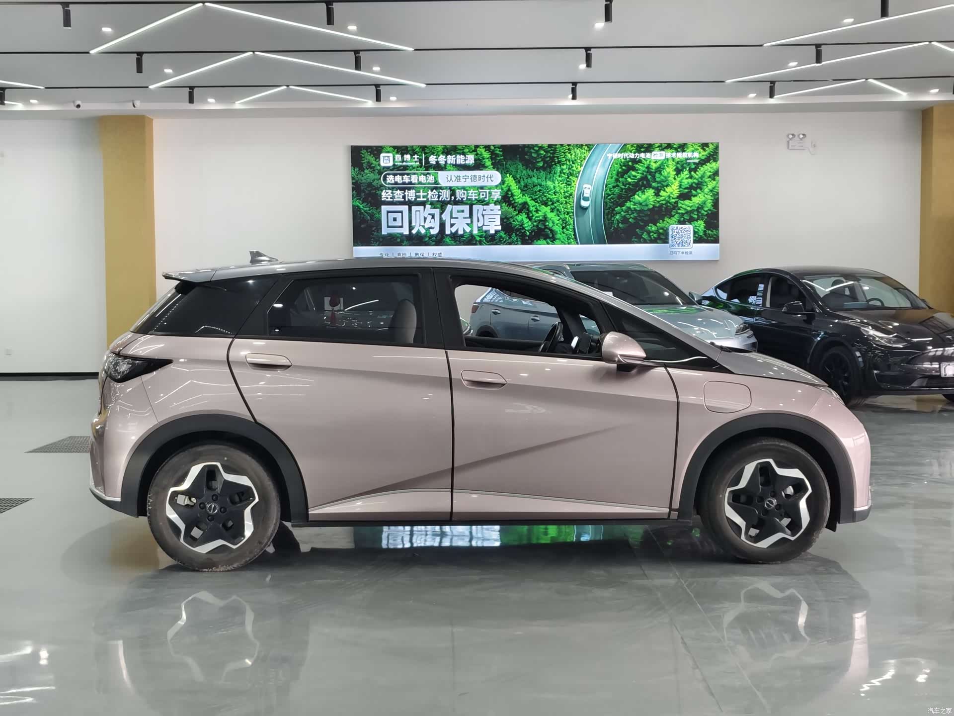 BYD Dolphin, 2022 4