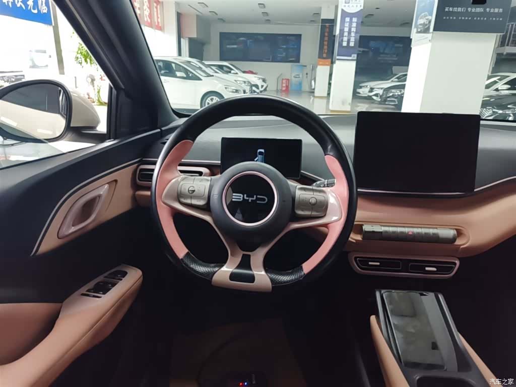 BYD Seagull, 2024 11