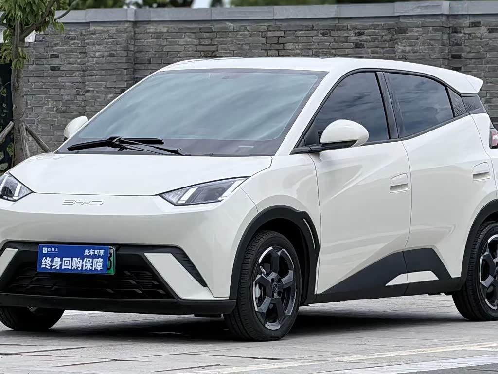 BYD Seagull