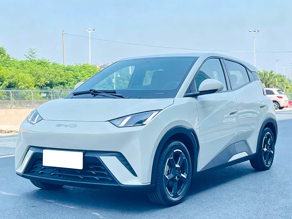 BYD Seagull
