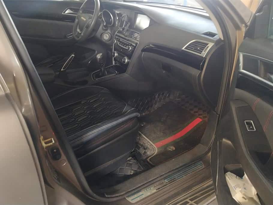 Leopaard Cheetah CS10