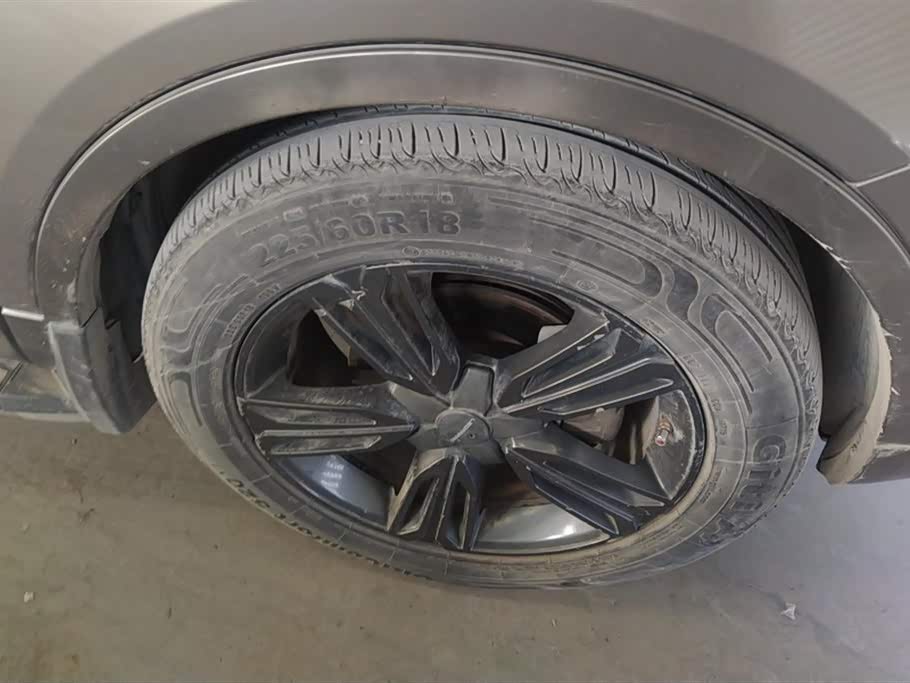 Leopaard Cheetah CS10