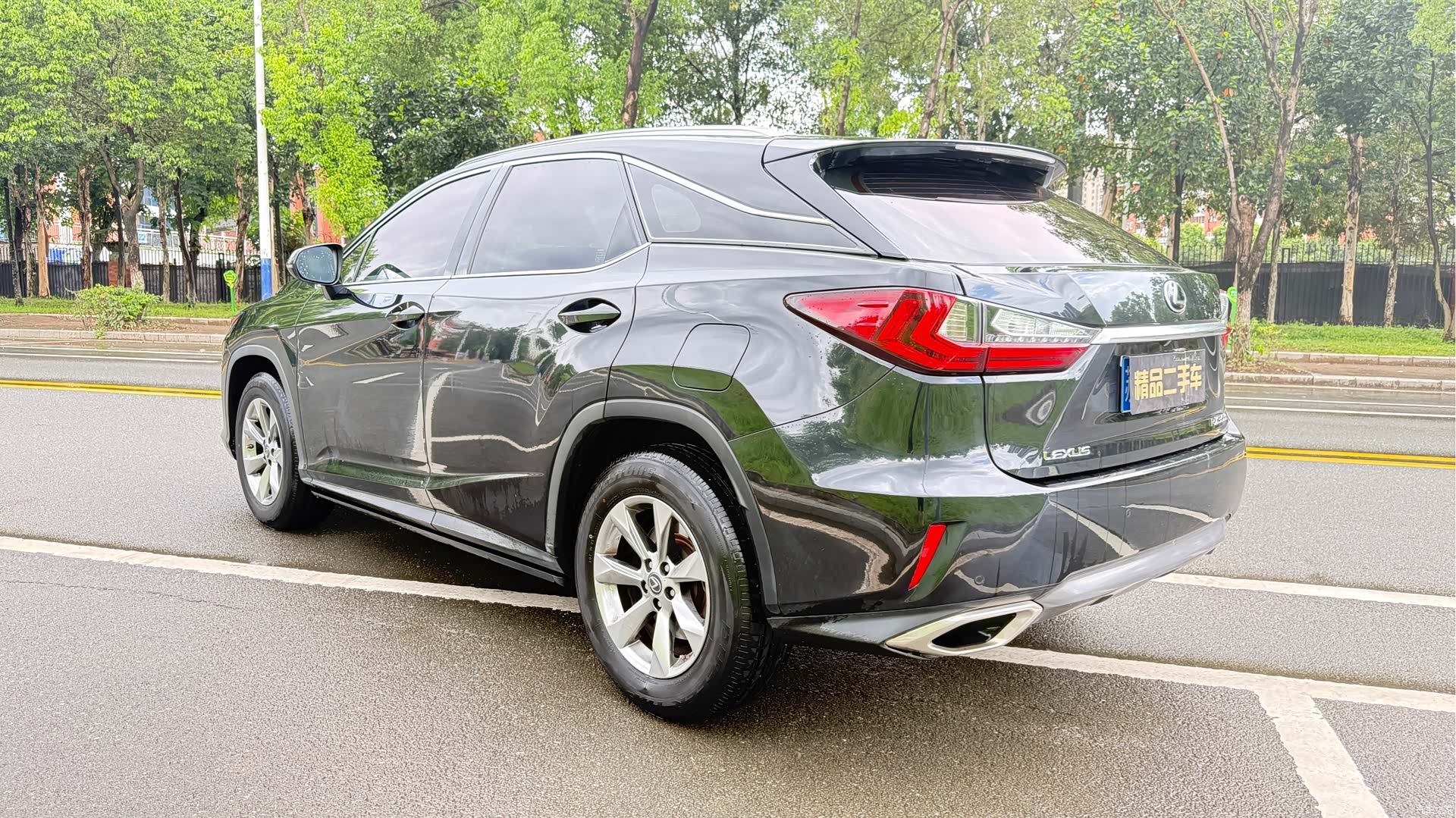 Lexus RX, 2019 все фото