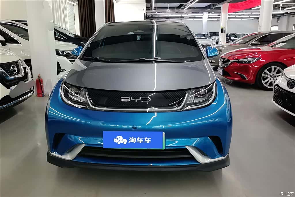 BYD Dolphin, 2022 2