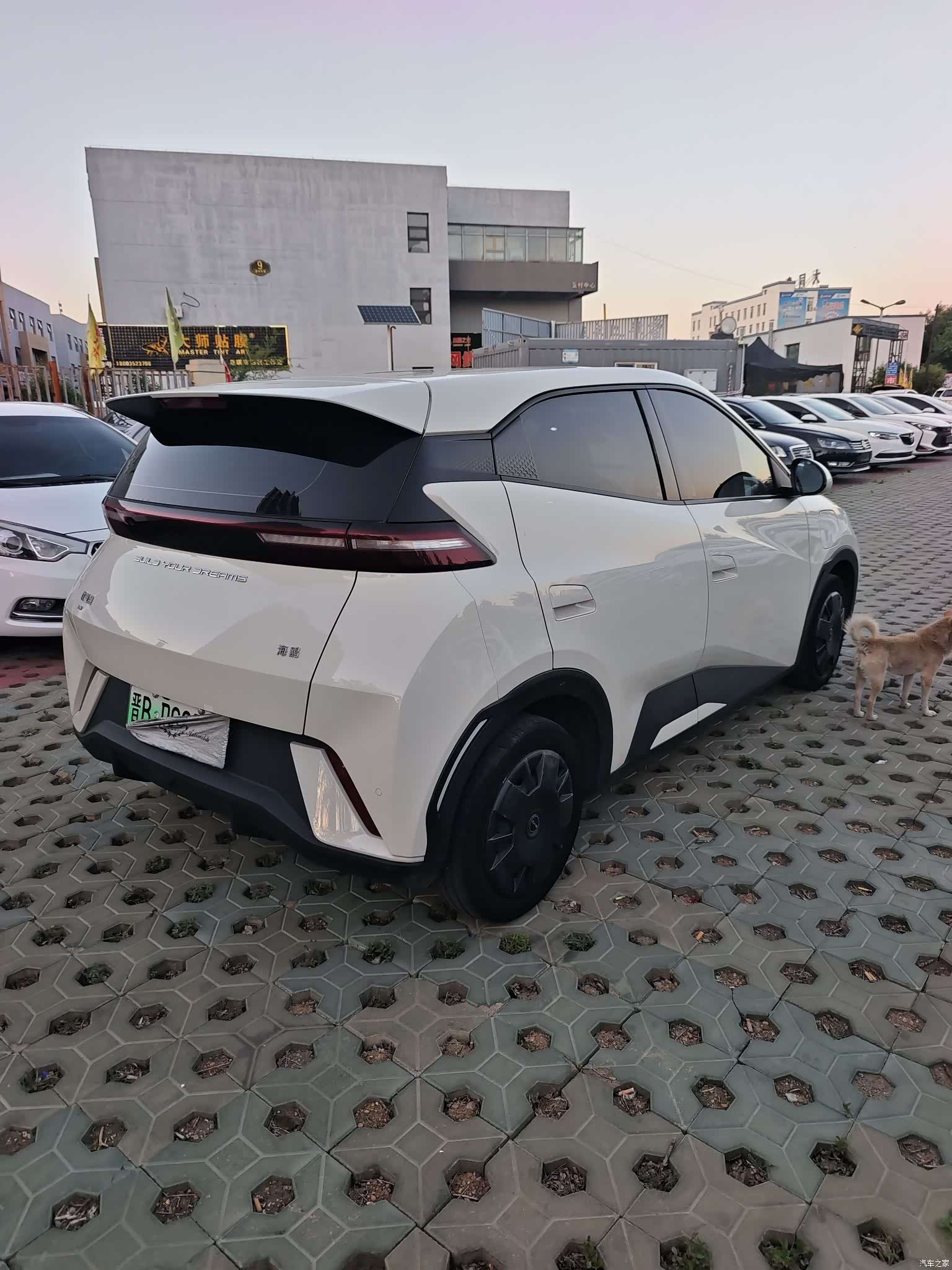 BYD Seagull, 2023 9