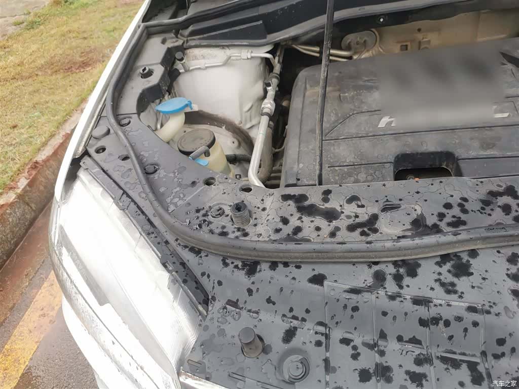 Haval H6, 2017 21