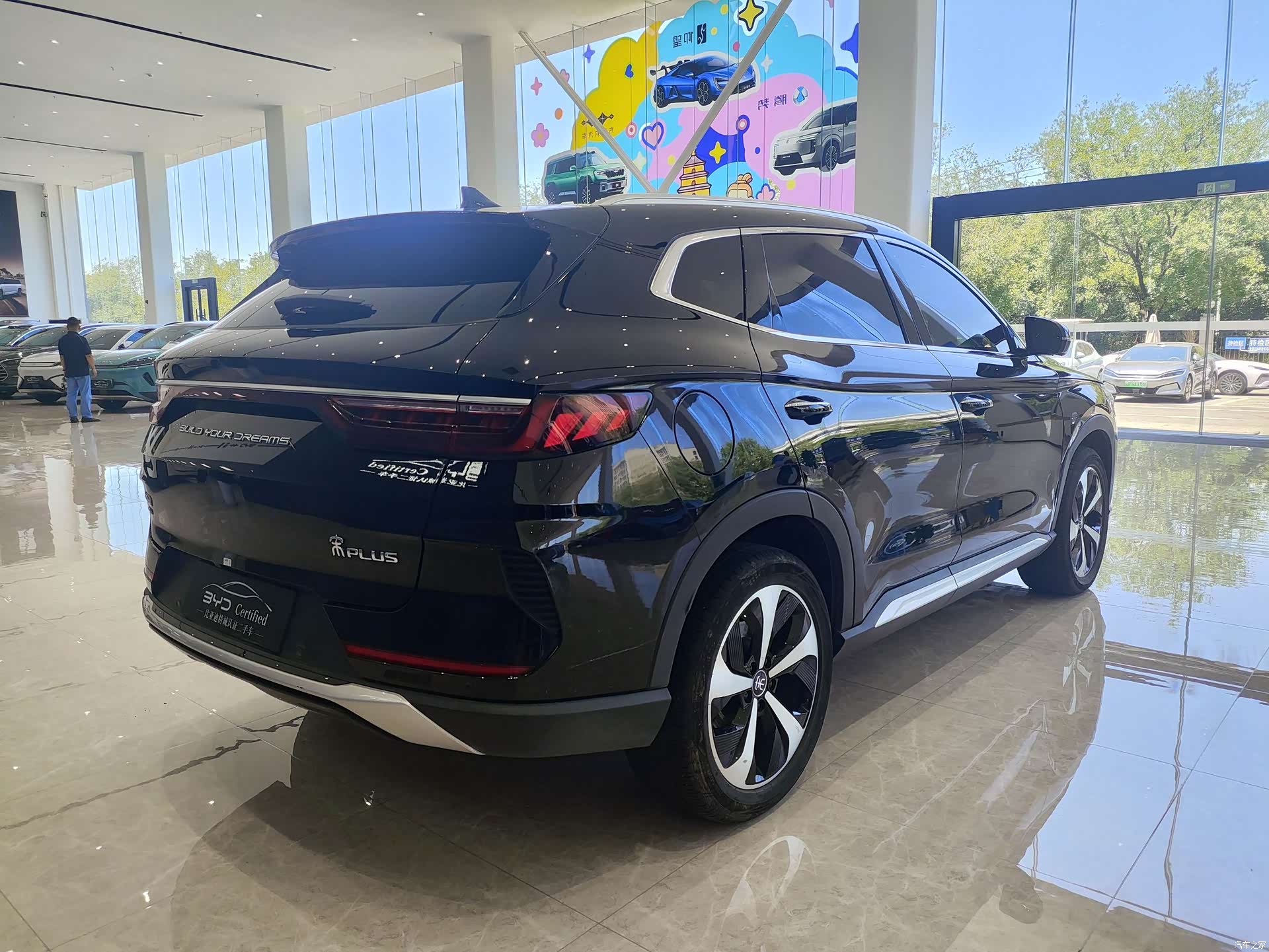 BYD Song, 2023 все фото