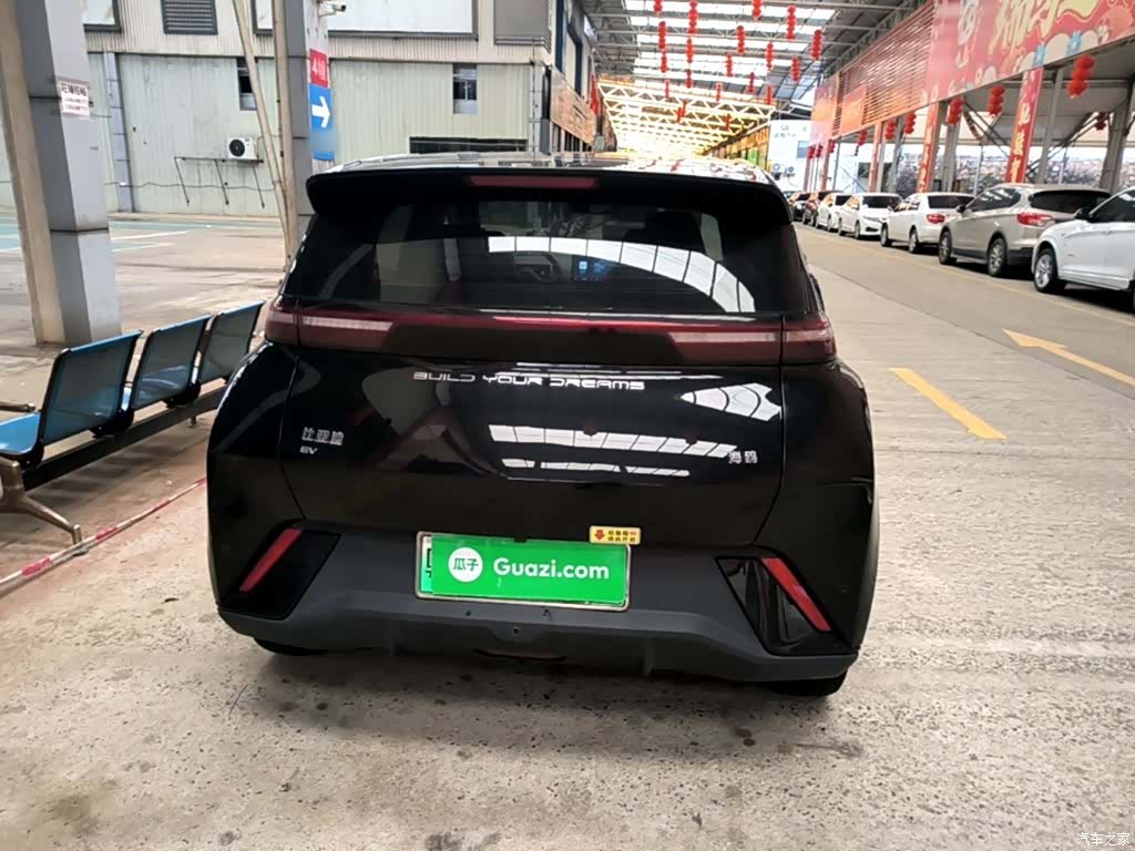 BYD Seagull, 2024 6