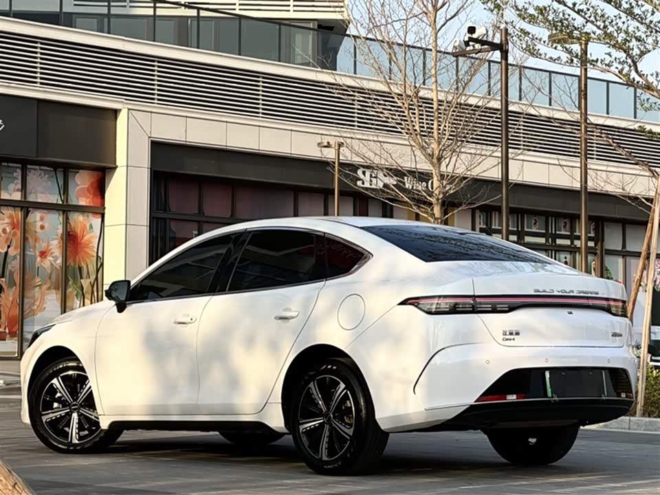 BYD Destroyer 05 BYD Destroyer 05