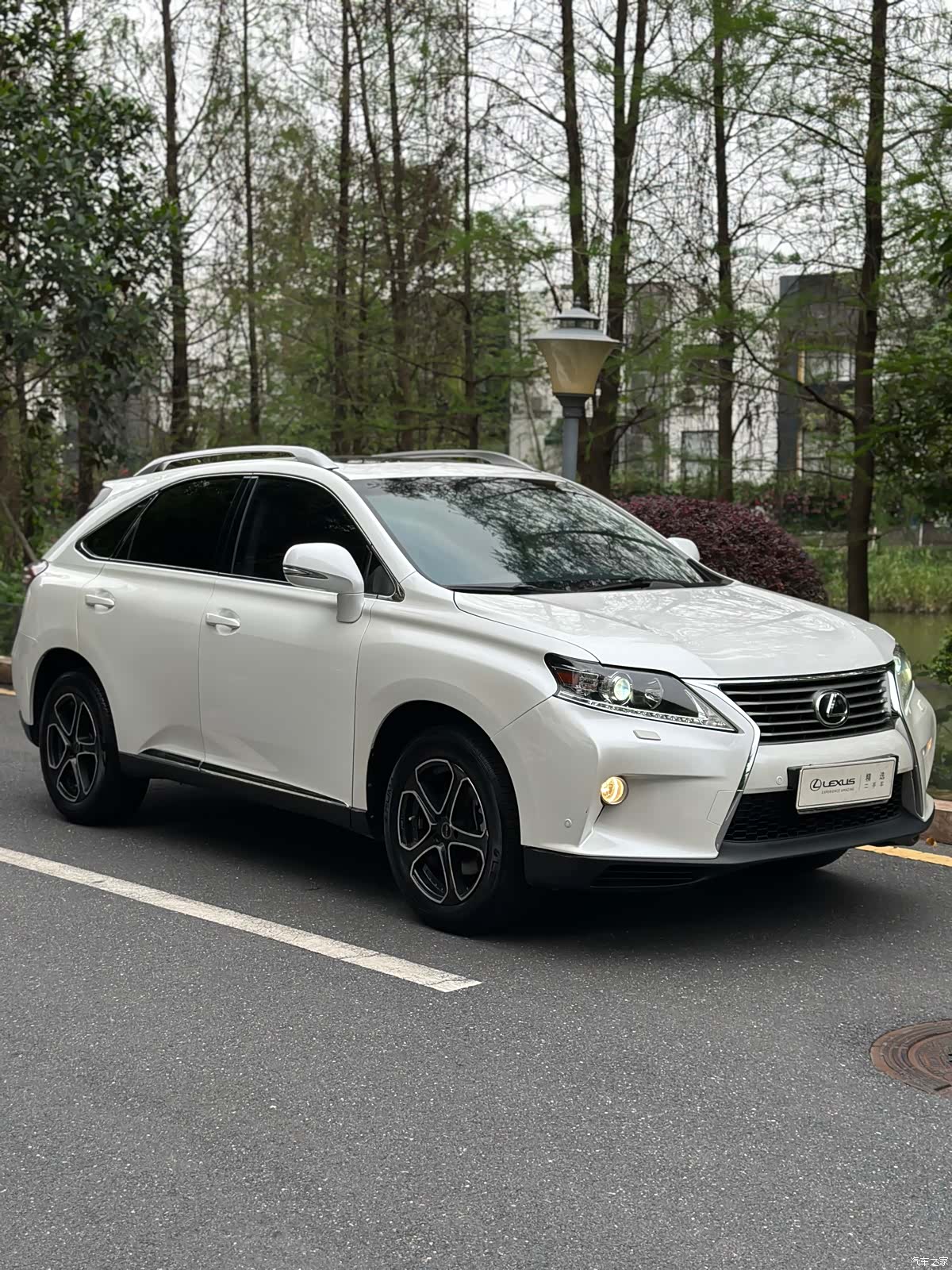 Lexus RX, 2013 3