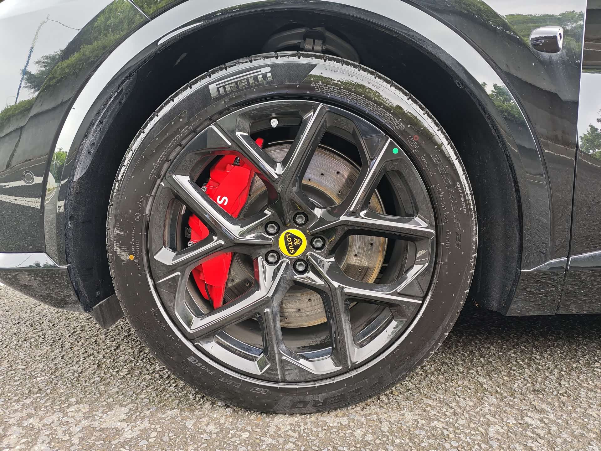Lotus FOR, 2026 31