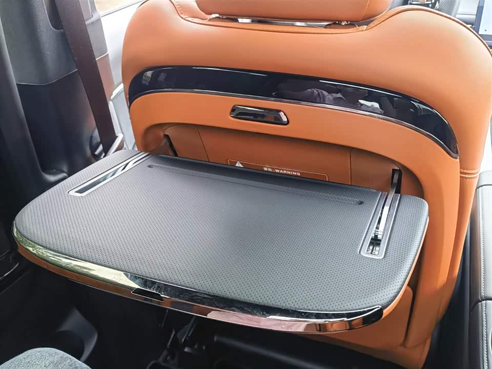 Trumpchi Trumpchi E9