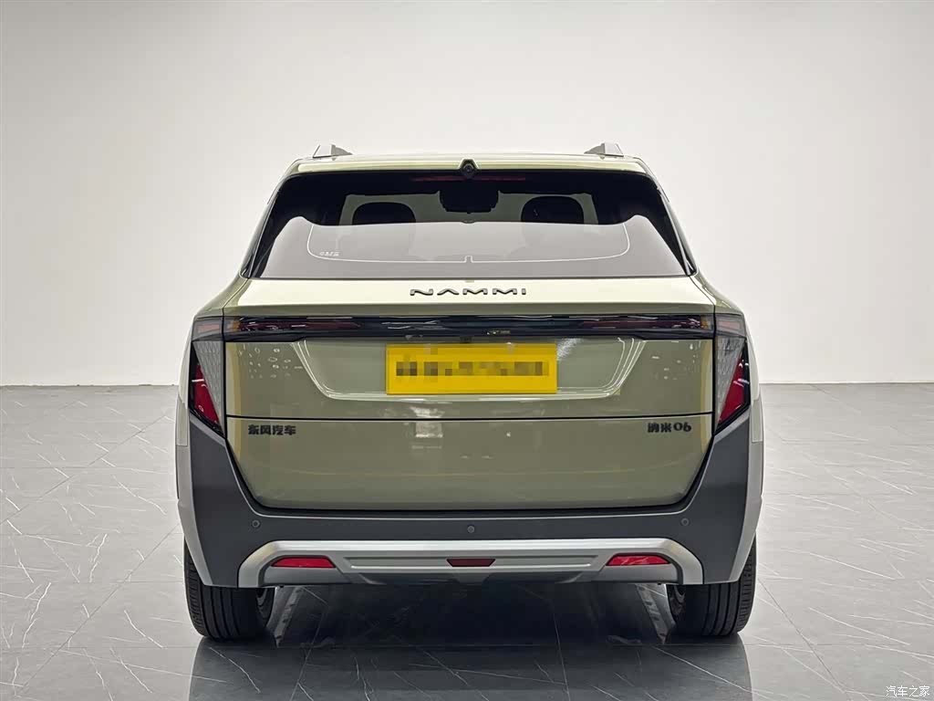 DongFeng 06, 2025 все фото