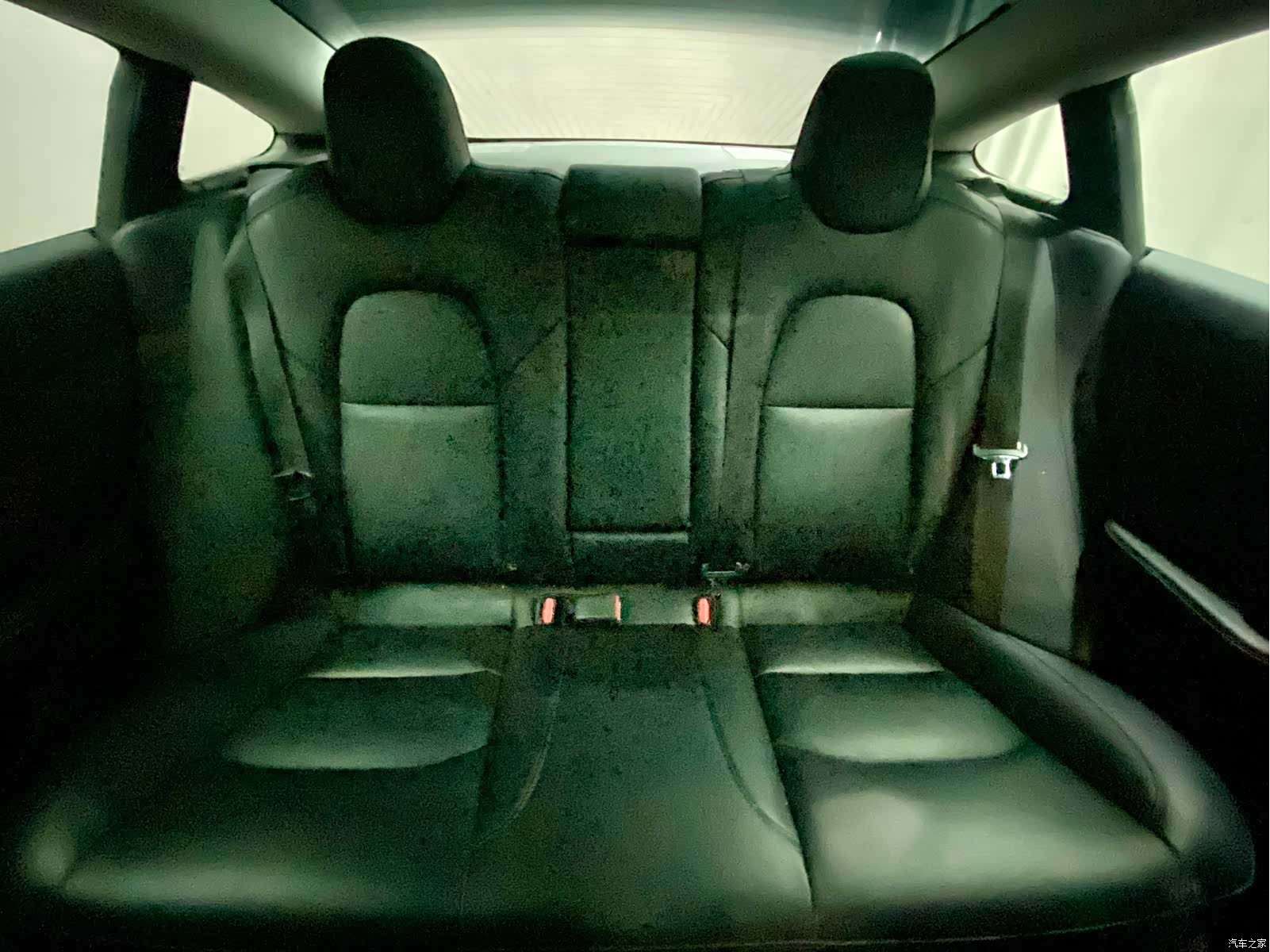 Tesla Model 3, 2020 15