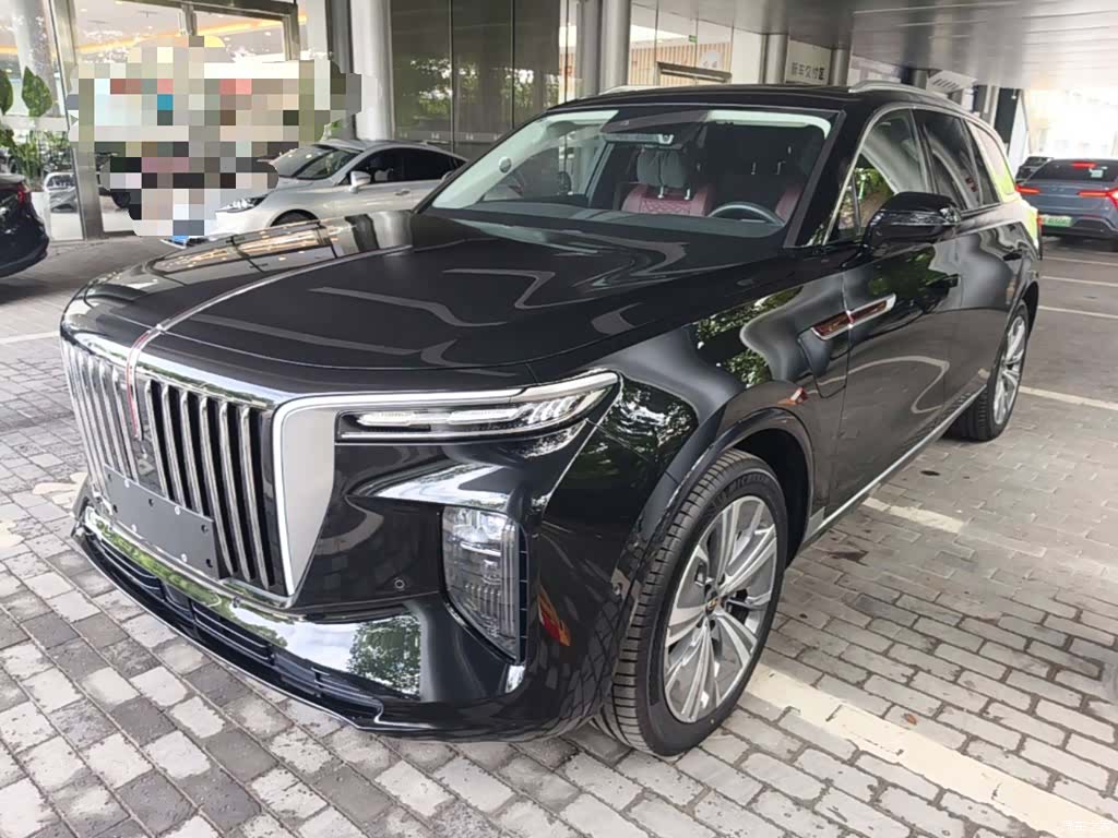 Hongqi E-HS9, 2023 1