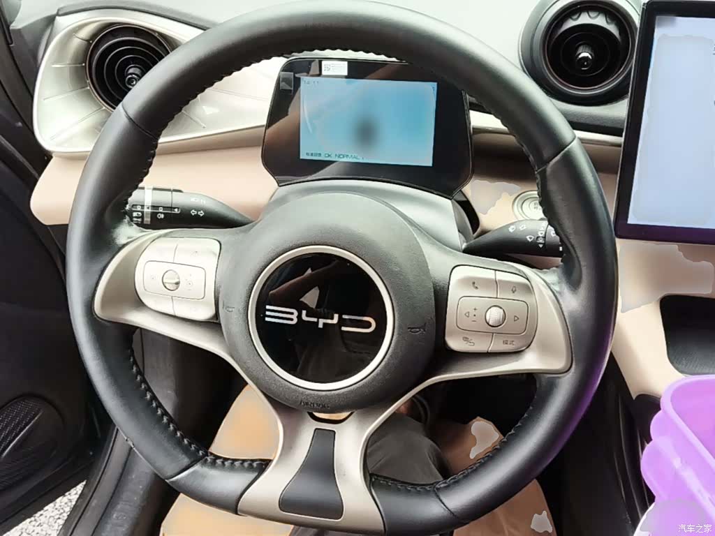BYD Dolphin, 2023 11