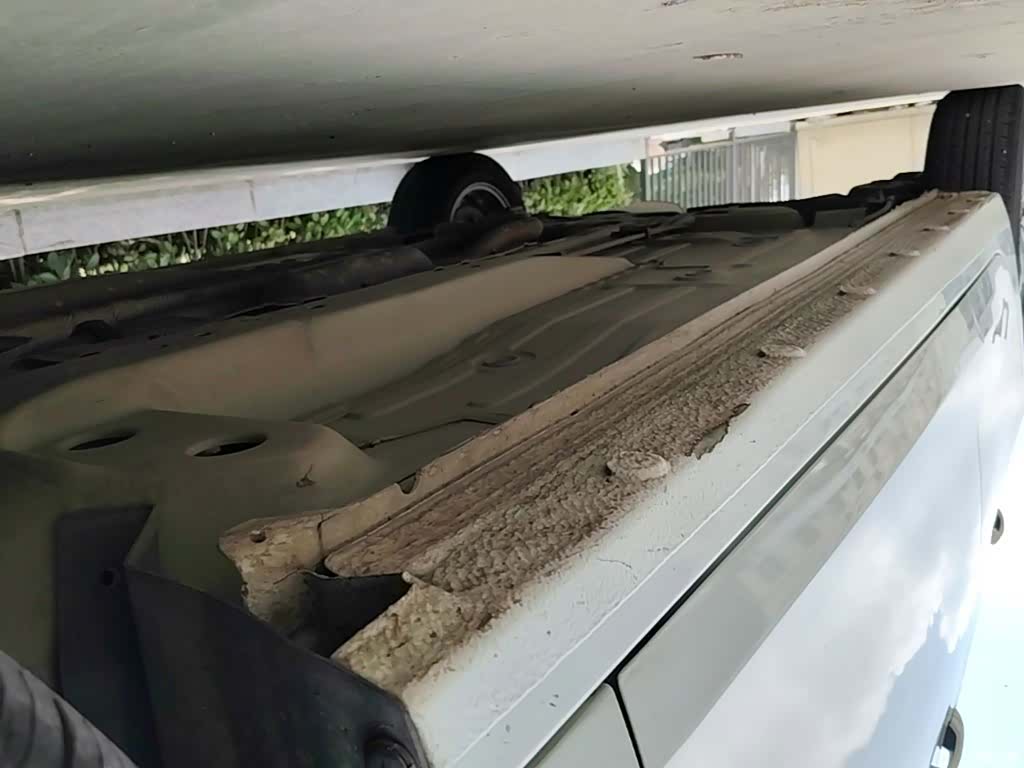 Chevrolet 320, 2019 21