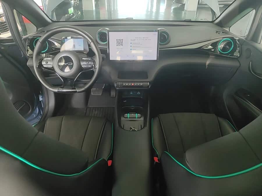 BYD Dolphin 2024, фото 10