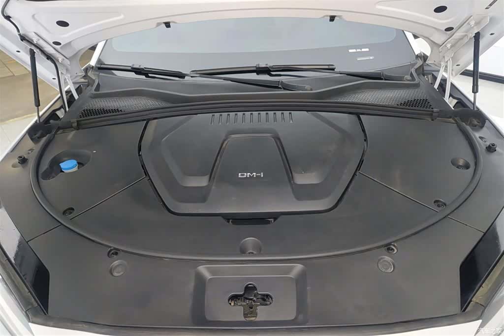 BYD Song, 2024 10