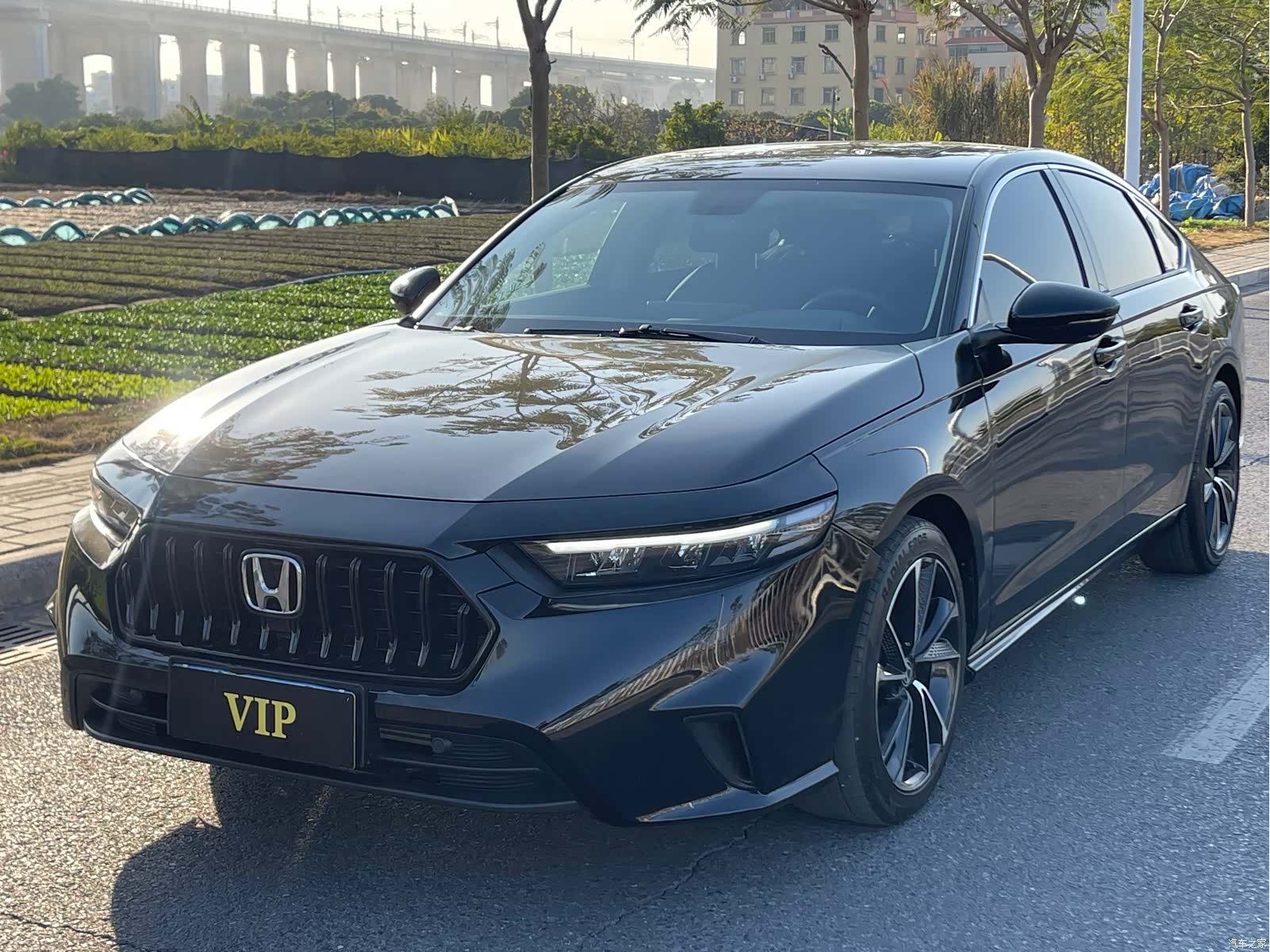 Honda Inspire, 2025 1