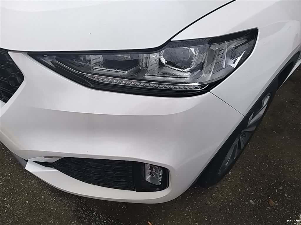 WEY VV6, 2019 24