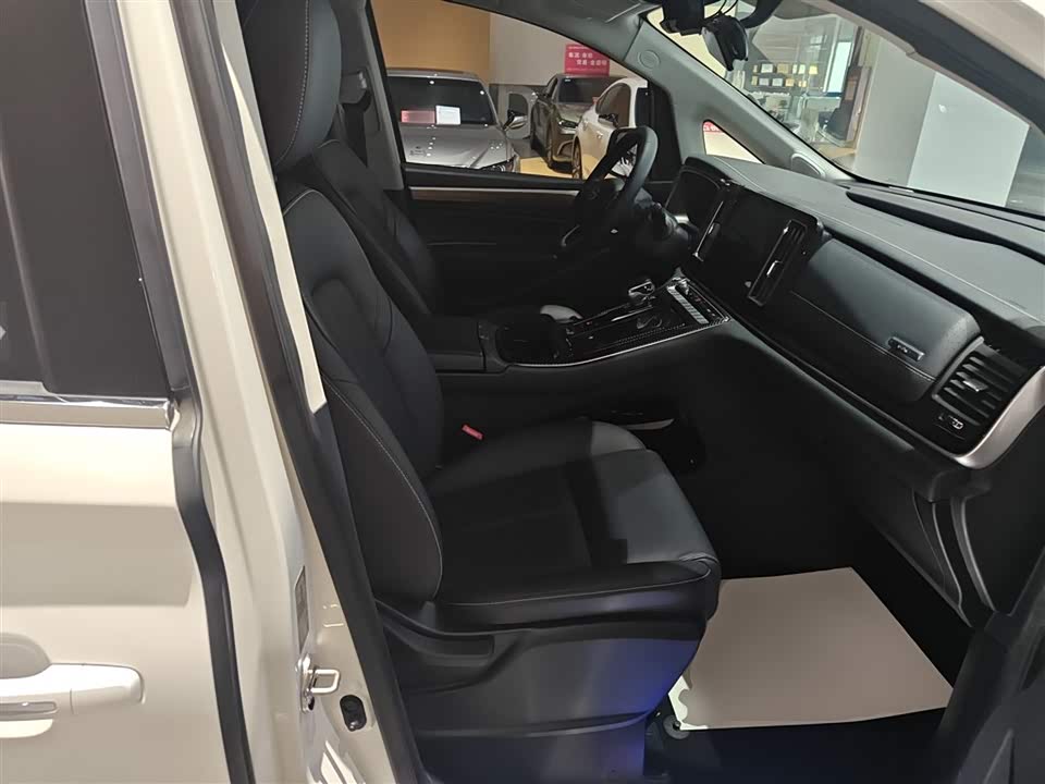 Trumpchi Trumpchi M8