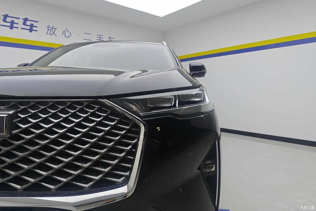 Haval H6, 2023 все фото