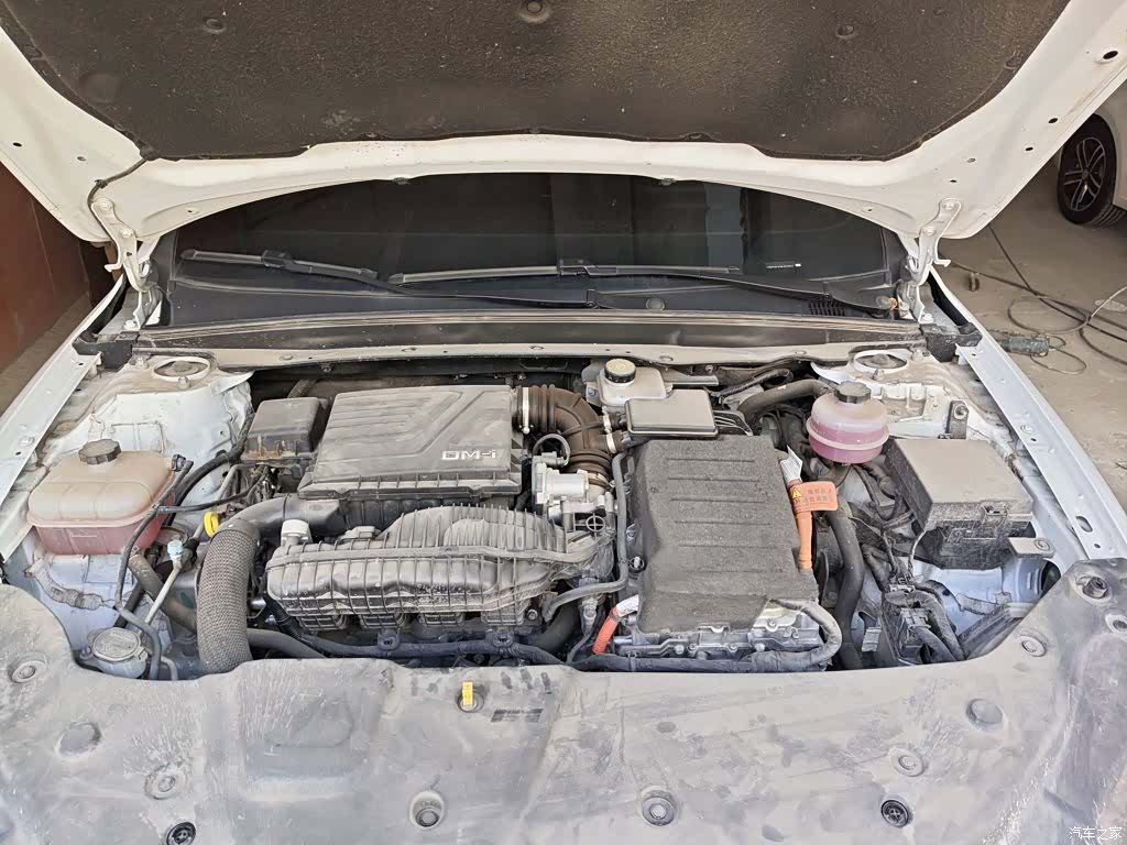 BYD Qin, 2024 20