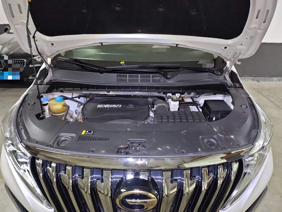 Trumpchi Trumpchi M8