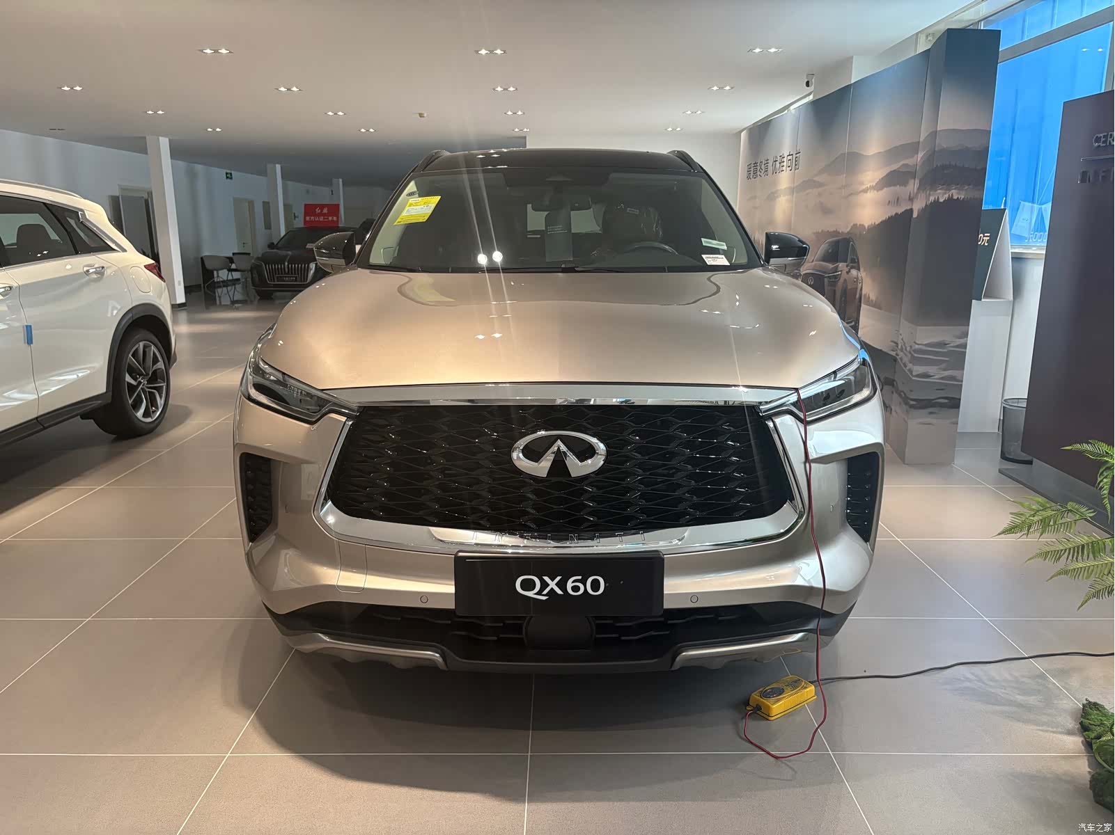 Infiniti QX60, 2024 2