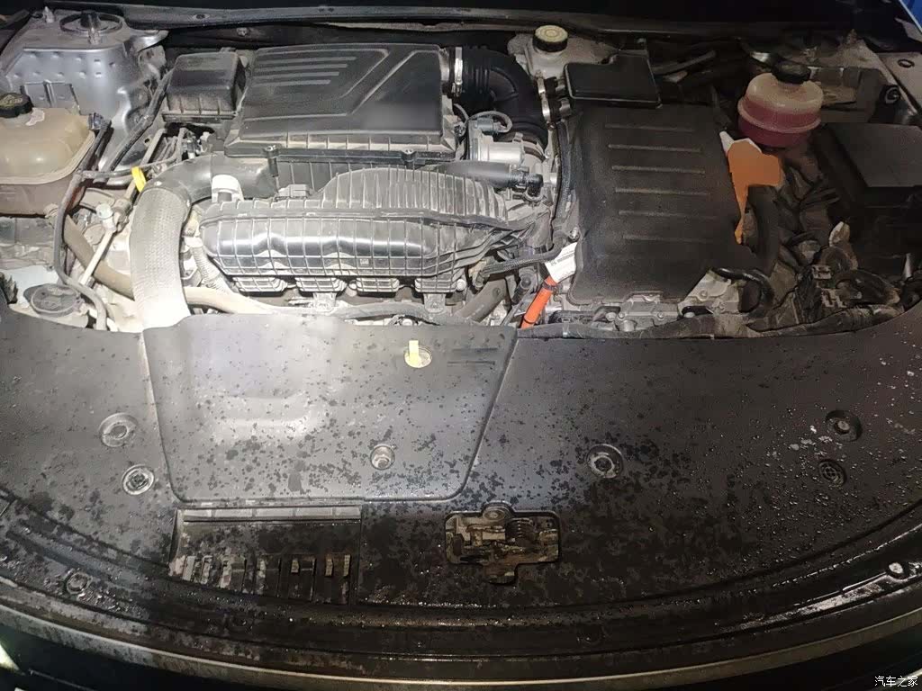 BYD Destroyer 05, 2022 16