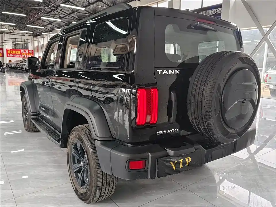 Tank 300
