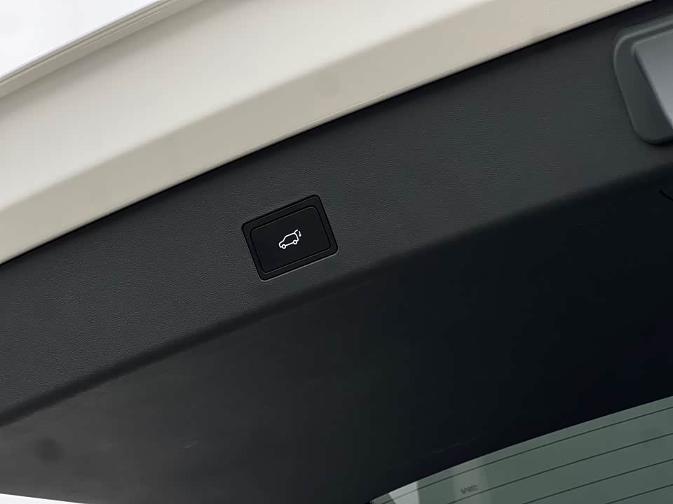 ARCFOX Polar fox koala