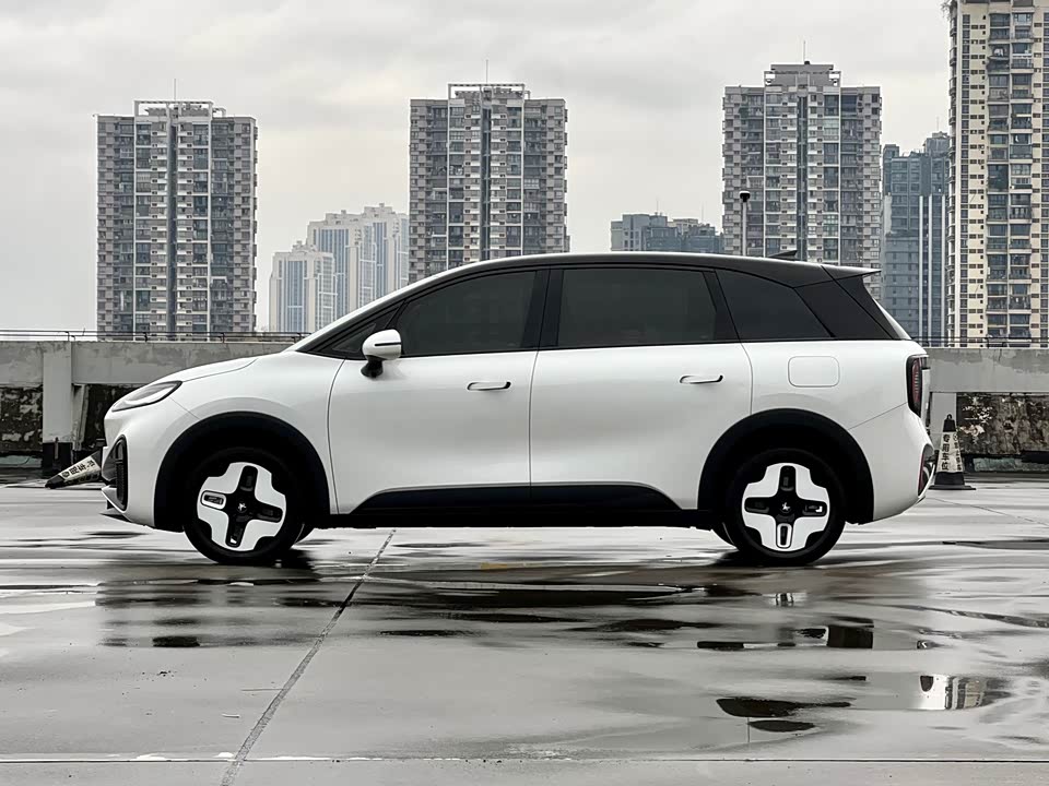 ARCFOX Polar fox koala