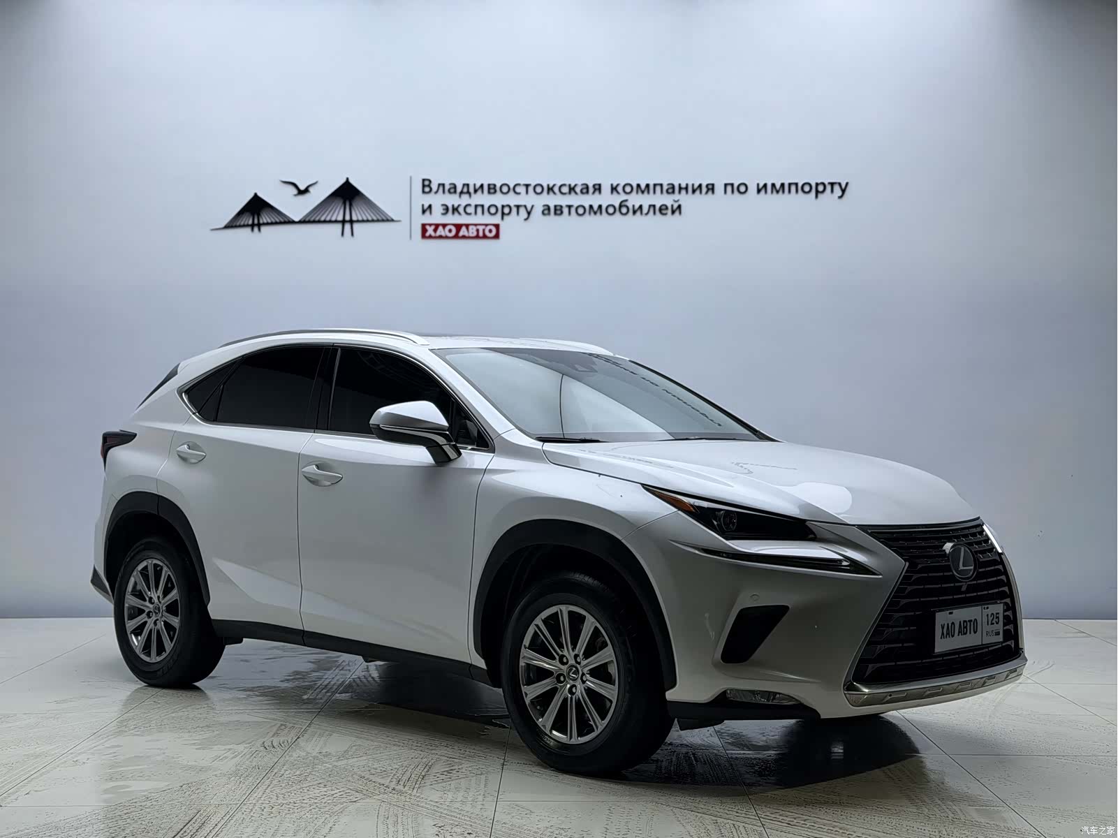 Lexus NX, 2019 3