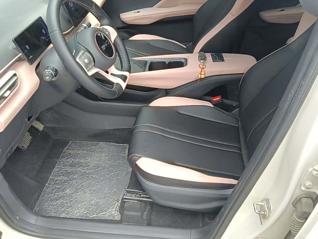 BYD Seagull, 2024 15