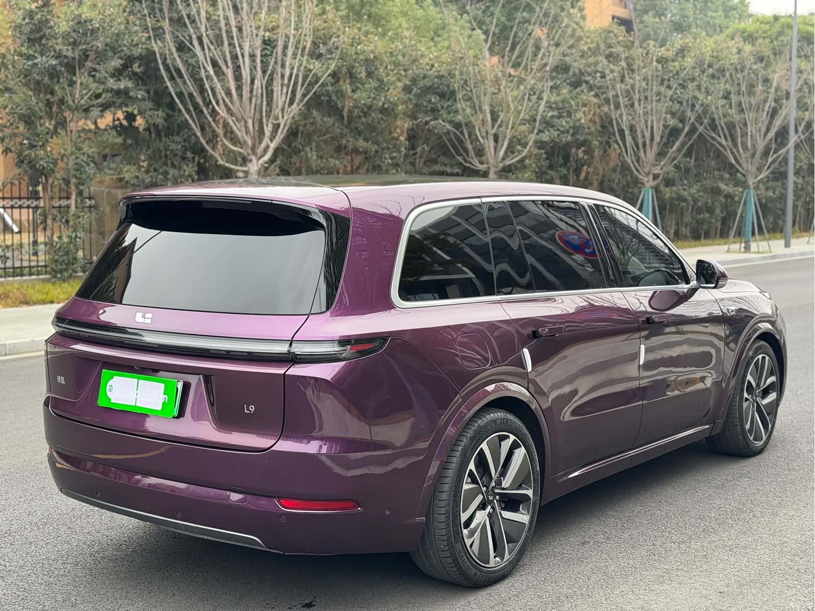Li Auto L9, 2022 6