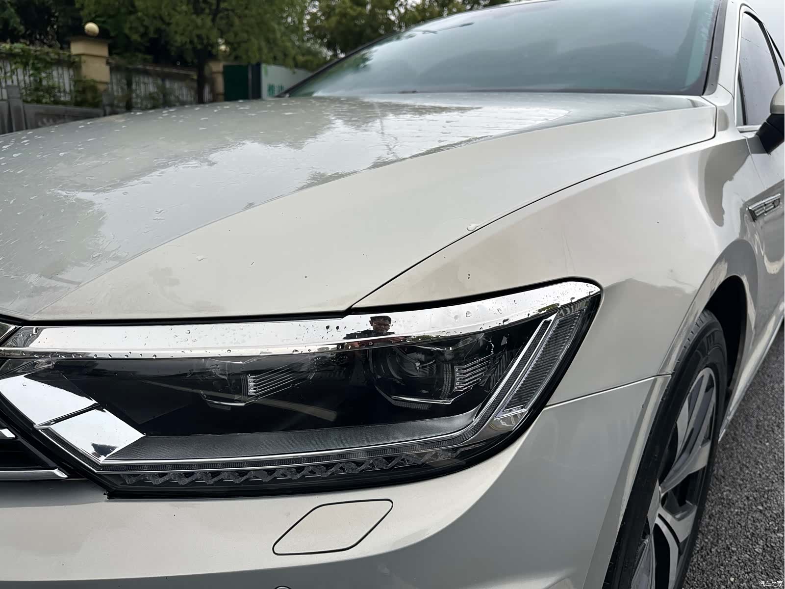 Volkswagen Magotan, 2020 все фото