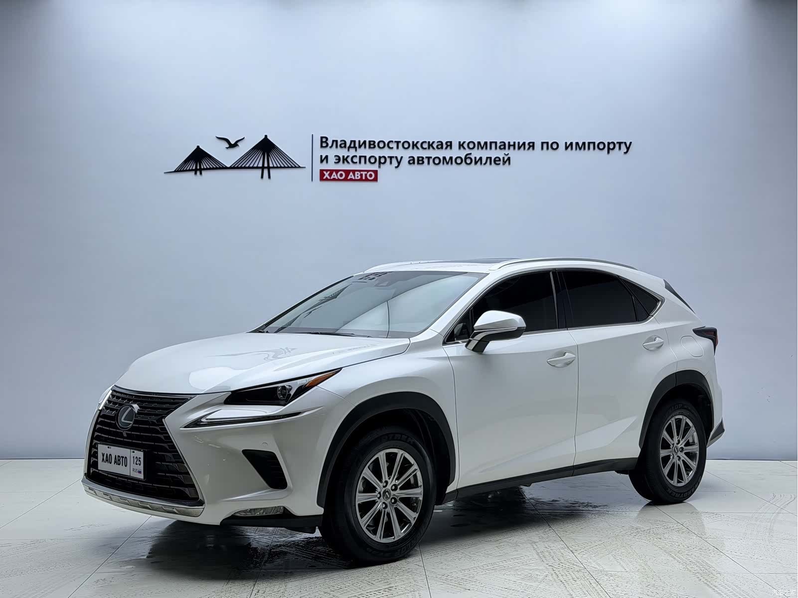 Lexus NX, 2019 1